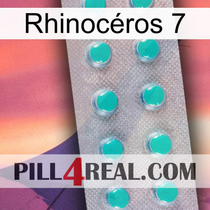 Rhinocéros 7 28